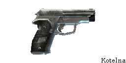 p228